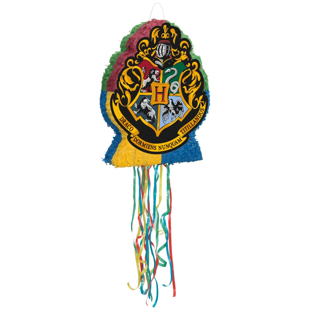 Harry Potter Shaped Drum Pull Pinata